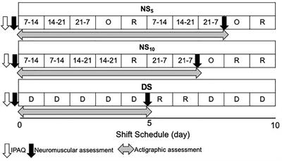 Reduced Neuromuscular Performance in Night Shift Orthopedic Nurses: New Insights From a Combined Electromyographic and Force Signals Approach